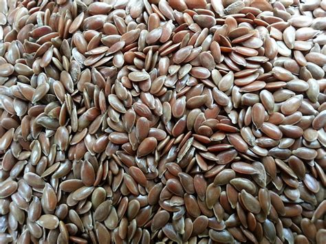 seeds for omega 3